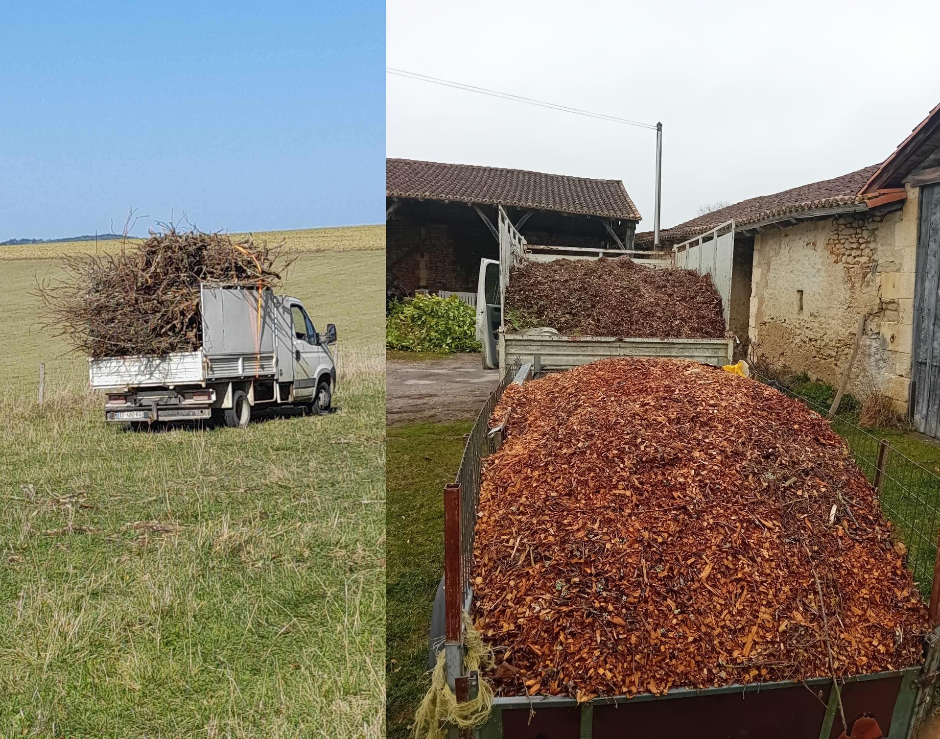 Tonte et débroussaillage avec évacuations