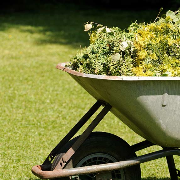 Évacuations et broyages déchets verts