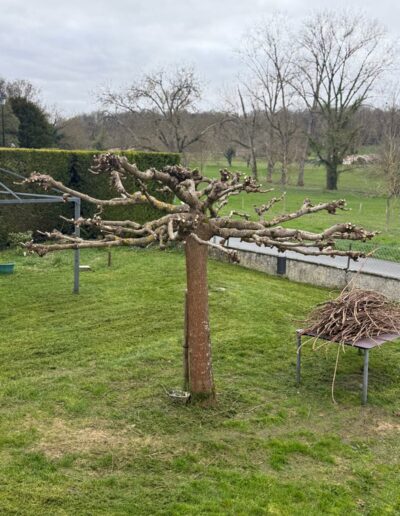 699ebfb10664b_WhatsApp Image 2026-02-25 at 10.21.50.jpeg