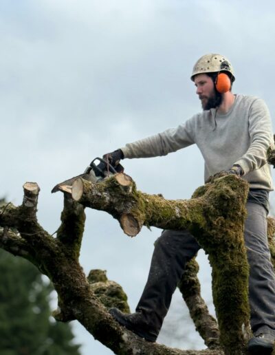 699ebfb1c7899_WhatsApp Image 2026-02-25 at 10.20.14 (1).jpeg