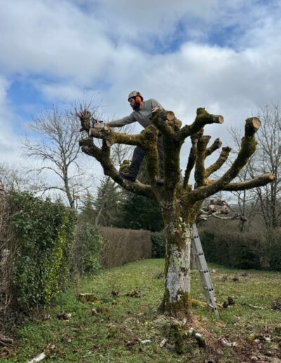 699ebfb20caec_WhatsApp Image 2026-02-25 at 10.20.14.jpeg